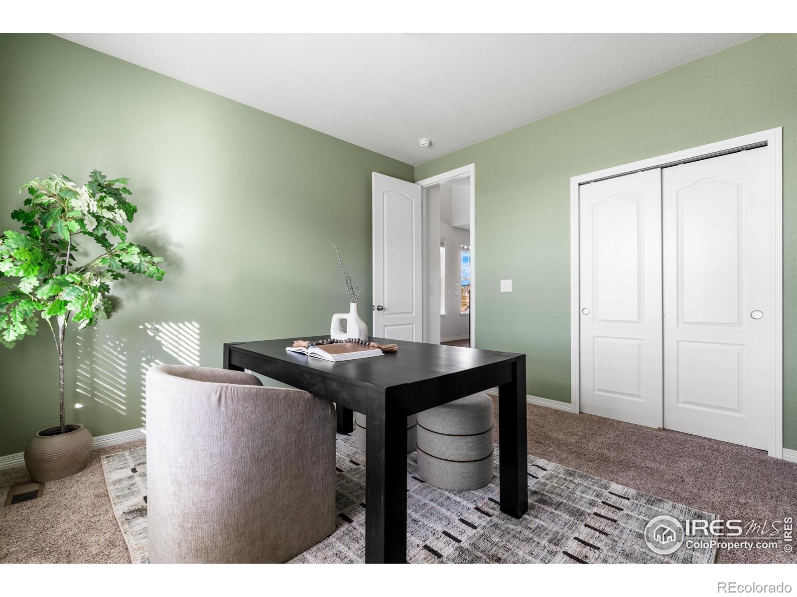 MLS Image #27 for 665  sundance circle,erie, Colorado