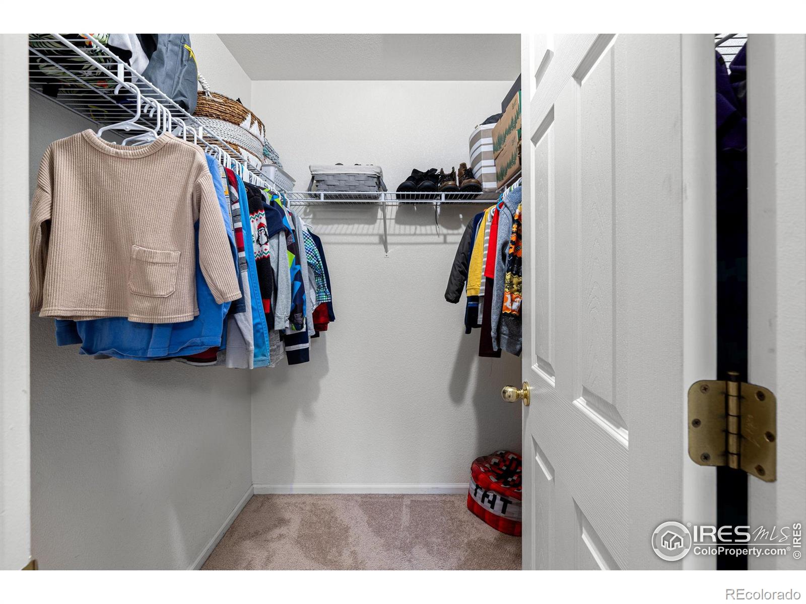 MLS Image #17 for 1601  great western drive,longmont, Colorado