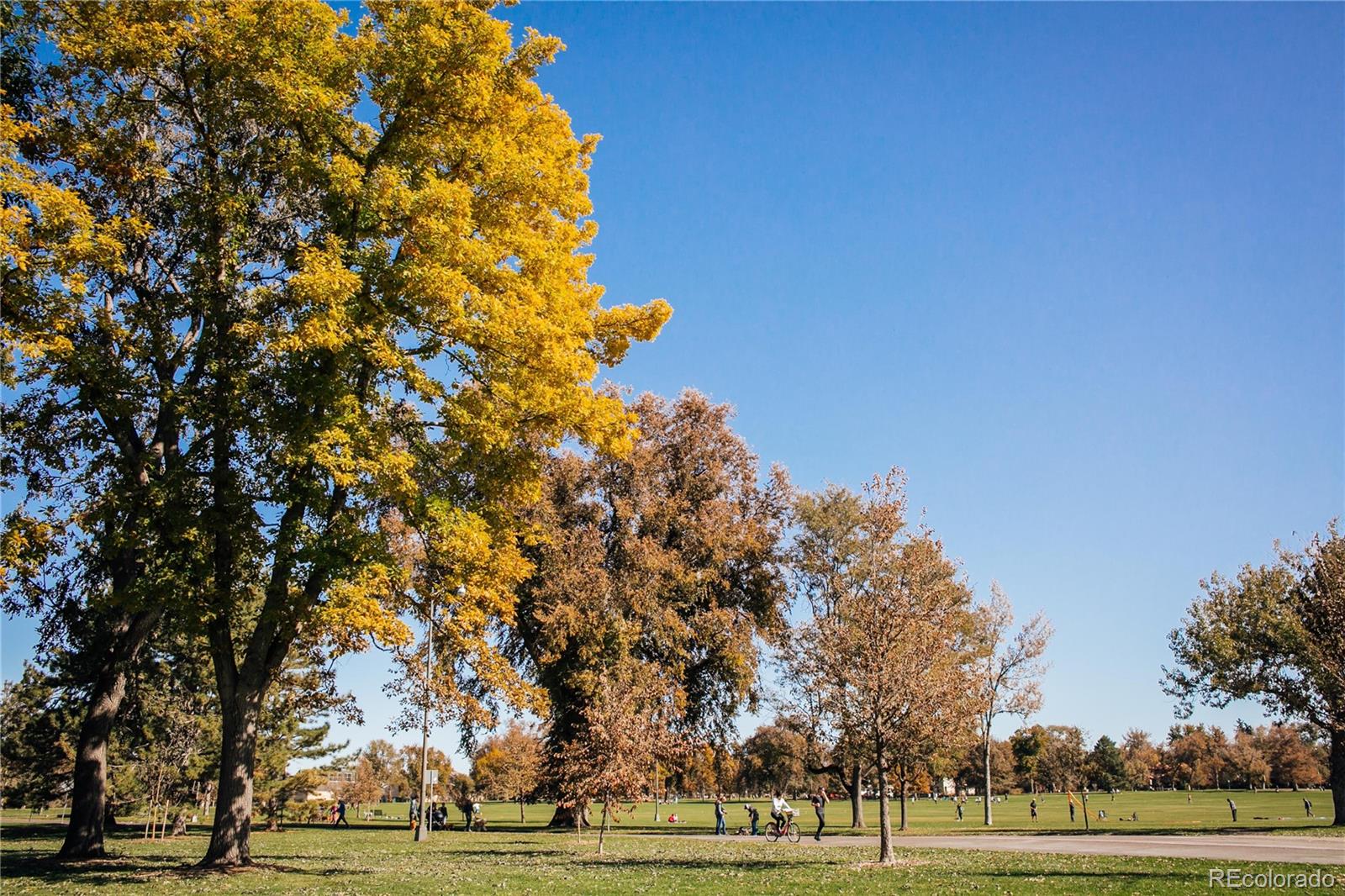 MLS Image #28 for 525 s ogden street,denver, Colorado