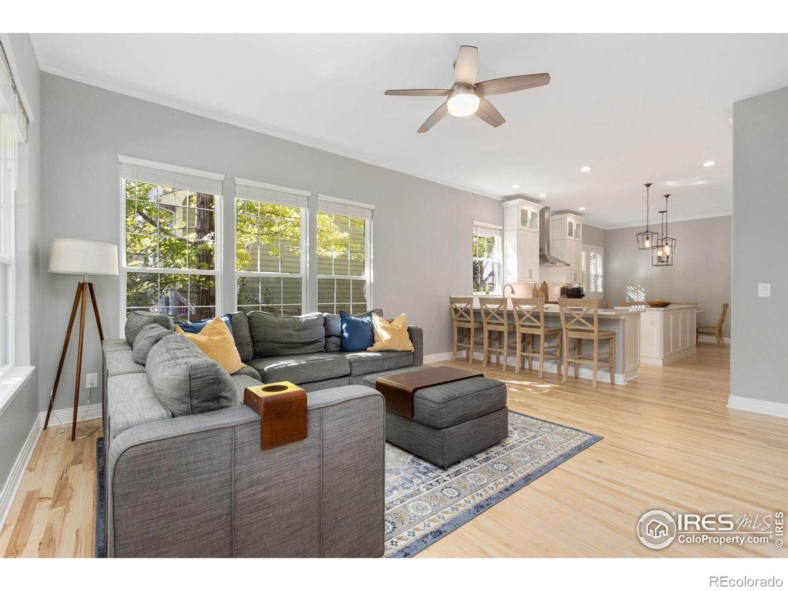 MLS Image #11 for 3177  kingfisher court,fort collins, Colorado