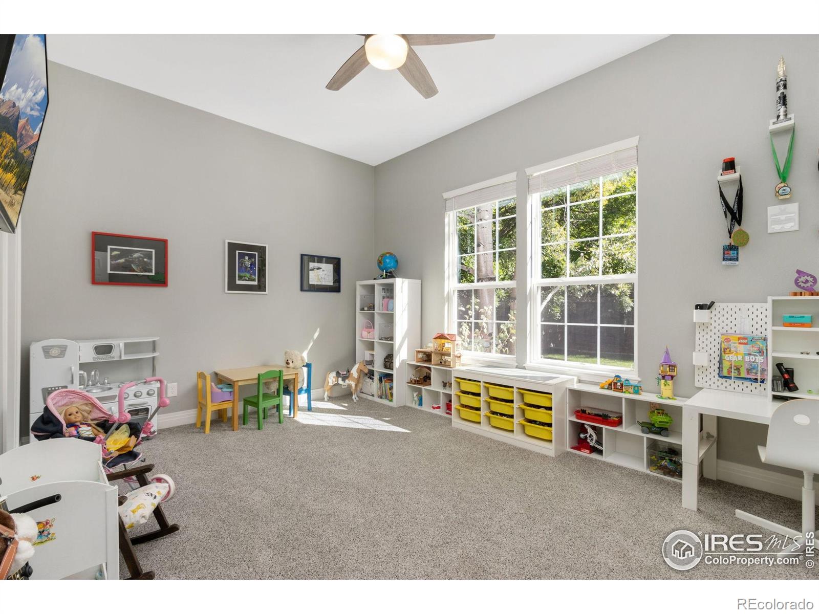 MLS Image #15 for 3177  kingfisher court,fort collins, Colorado