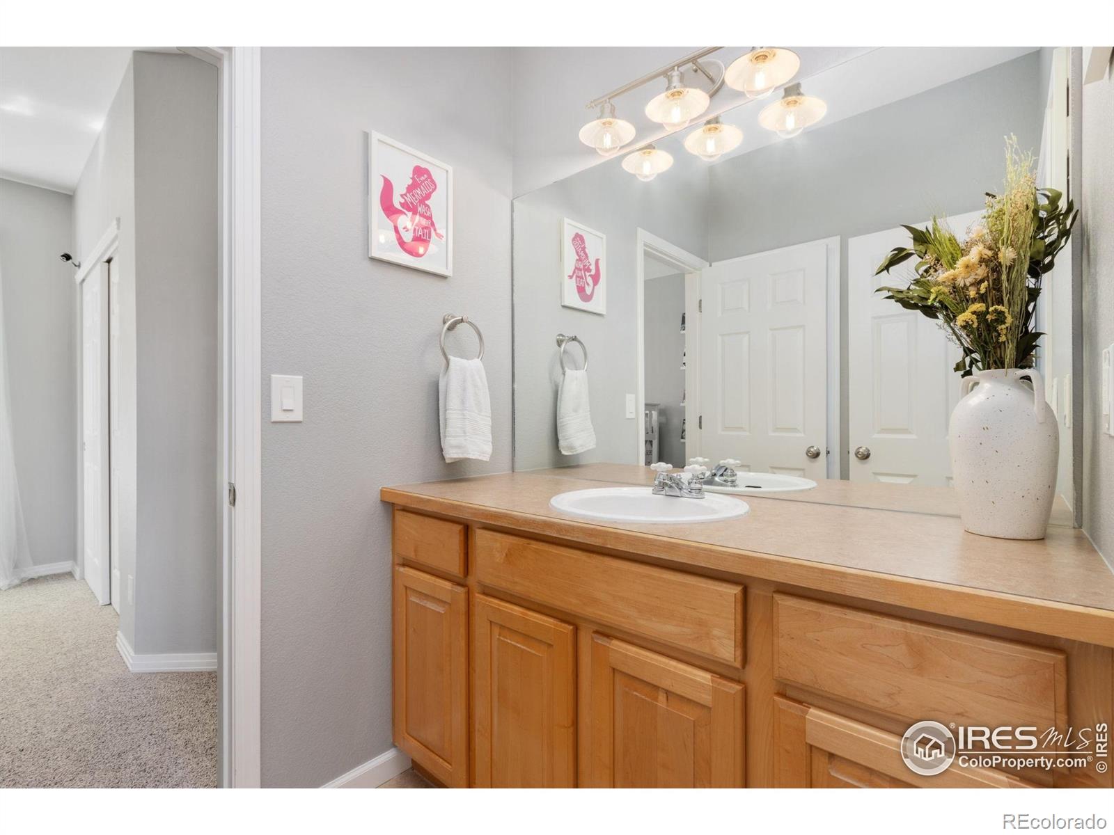 MLS Image #25 for 3177  kingfisher court,fort collins, Colorado