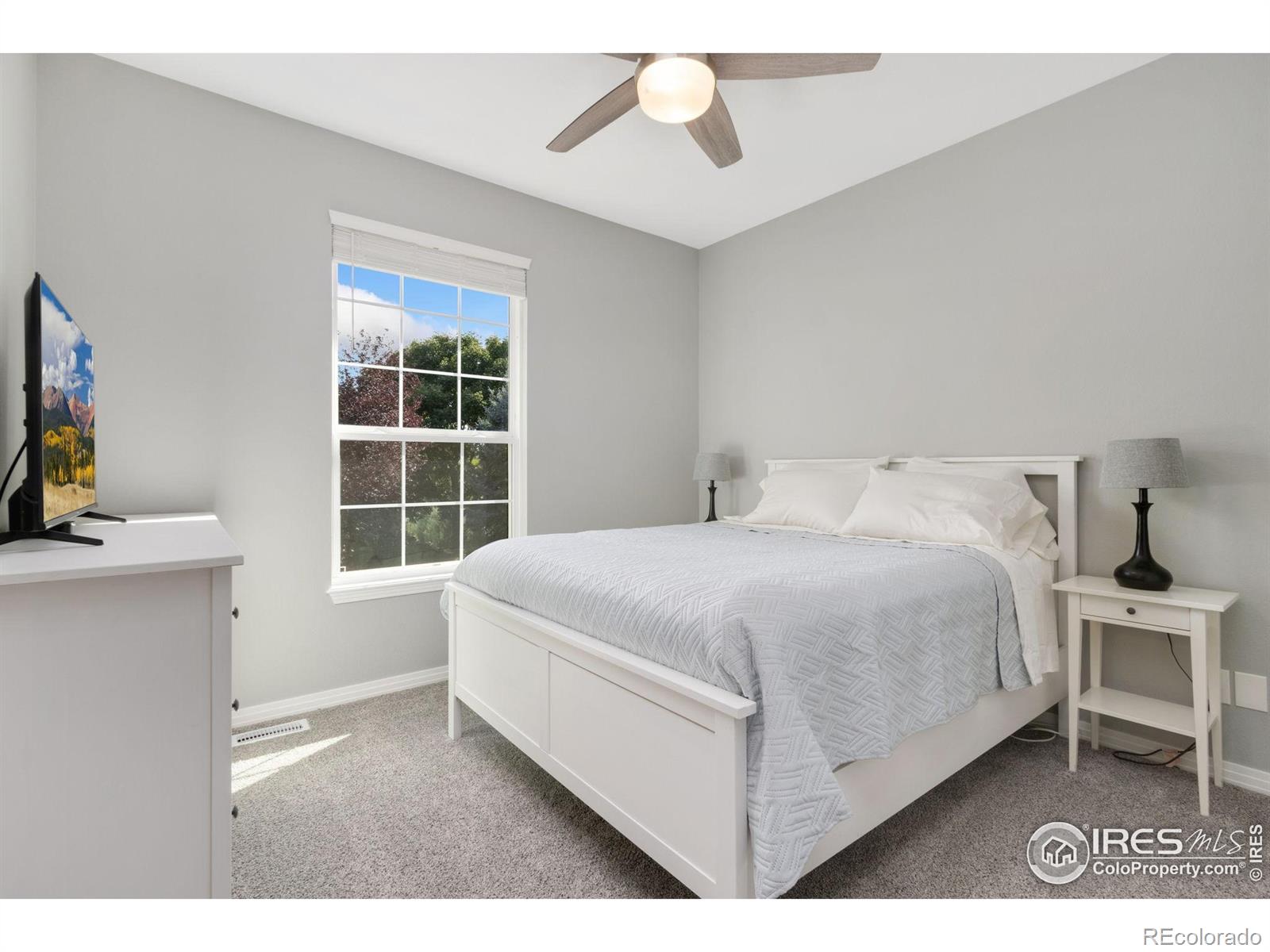 MLS Image #27 for 3177  kingfisher court,fort collins, Colorado