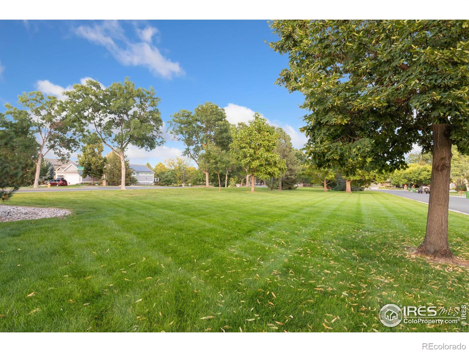 MLS Image #46 for 3177  kingfisher court,fort collins, Colorado