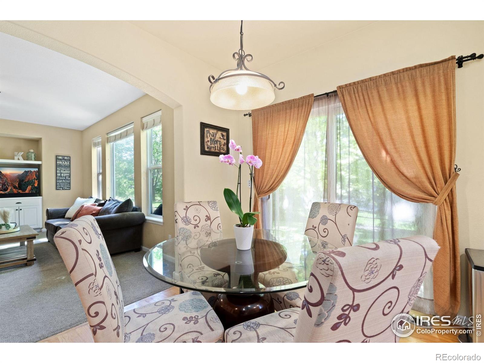 MLS Image #12 for 8119  lighthouse lane,windsor, Colorado