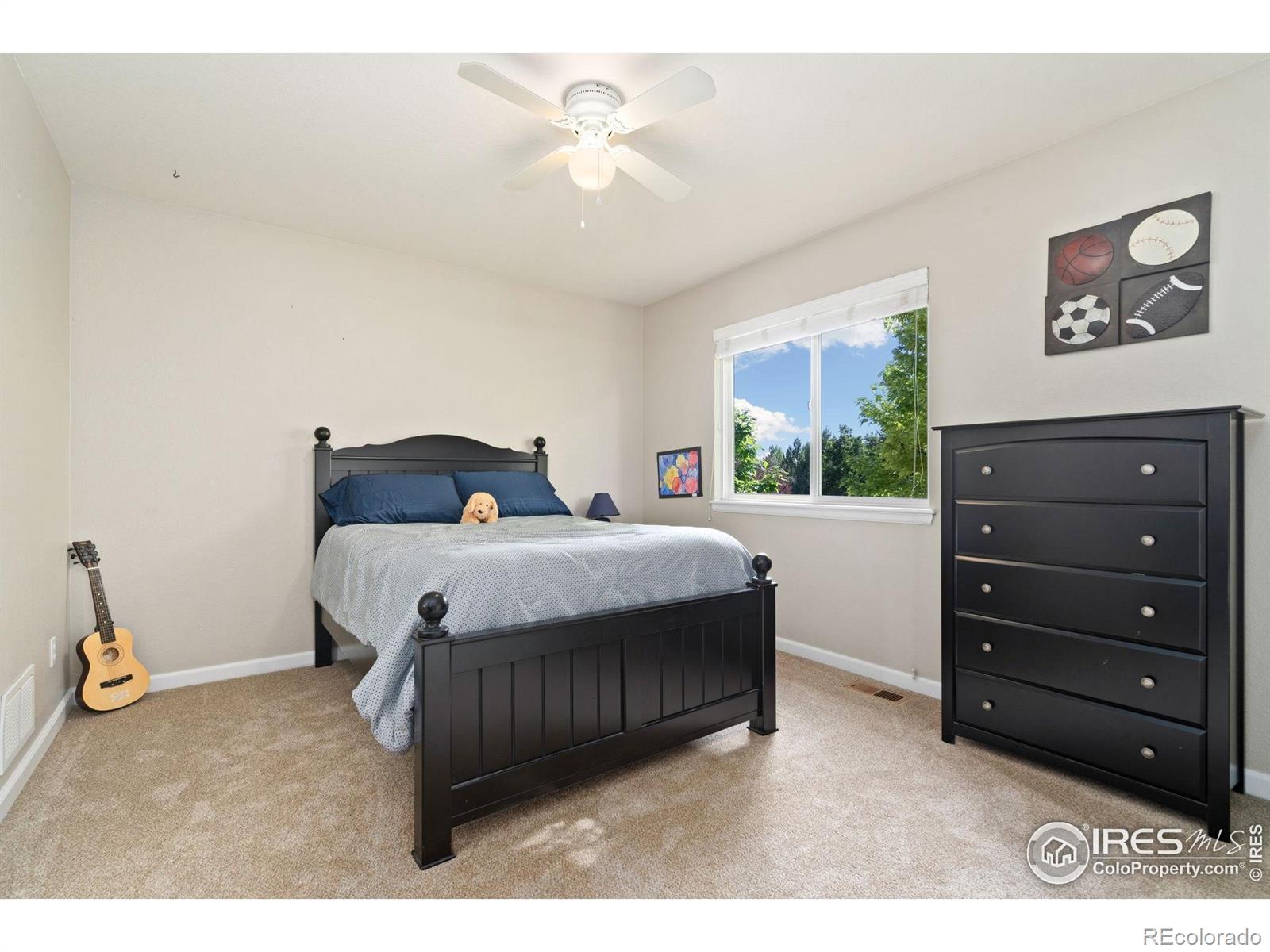 MLS Image #23 for 8119  lighthouse lane,windsor, Colorado