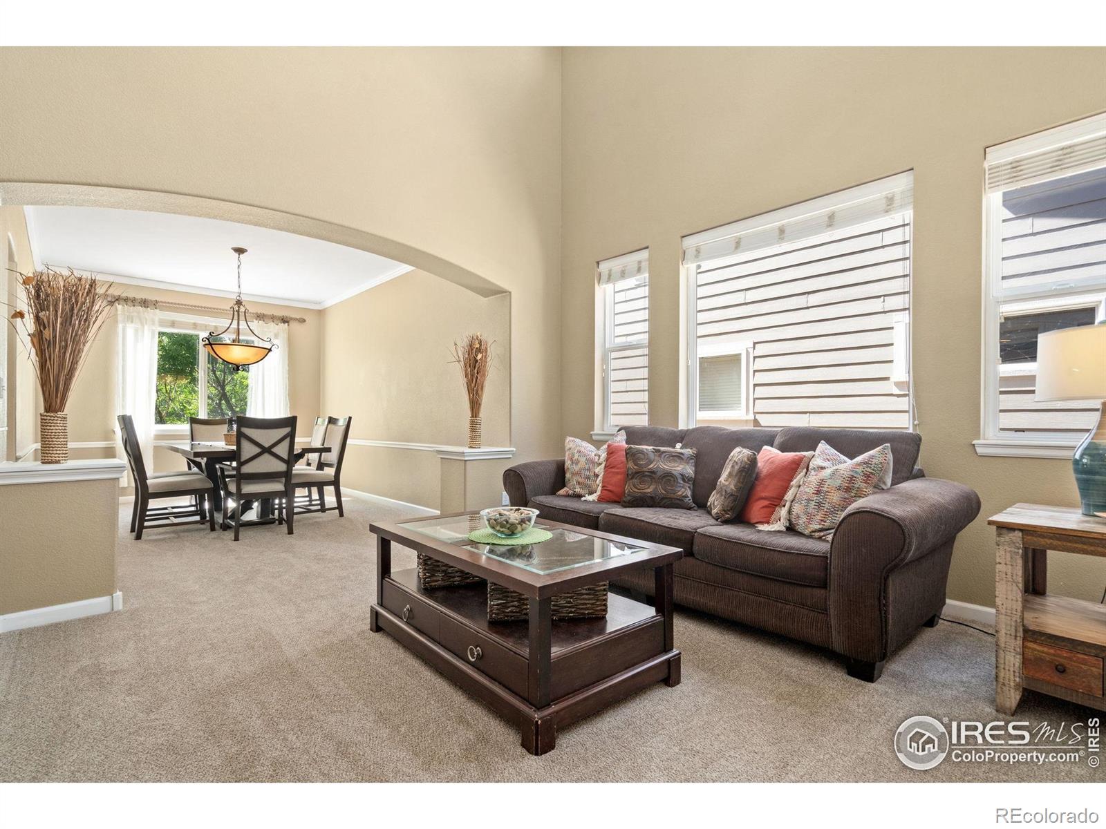 MLS Image #6 for 8119  lighthouse lane,windsor, Colorado