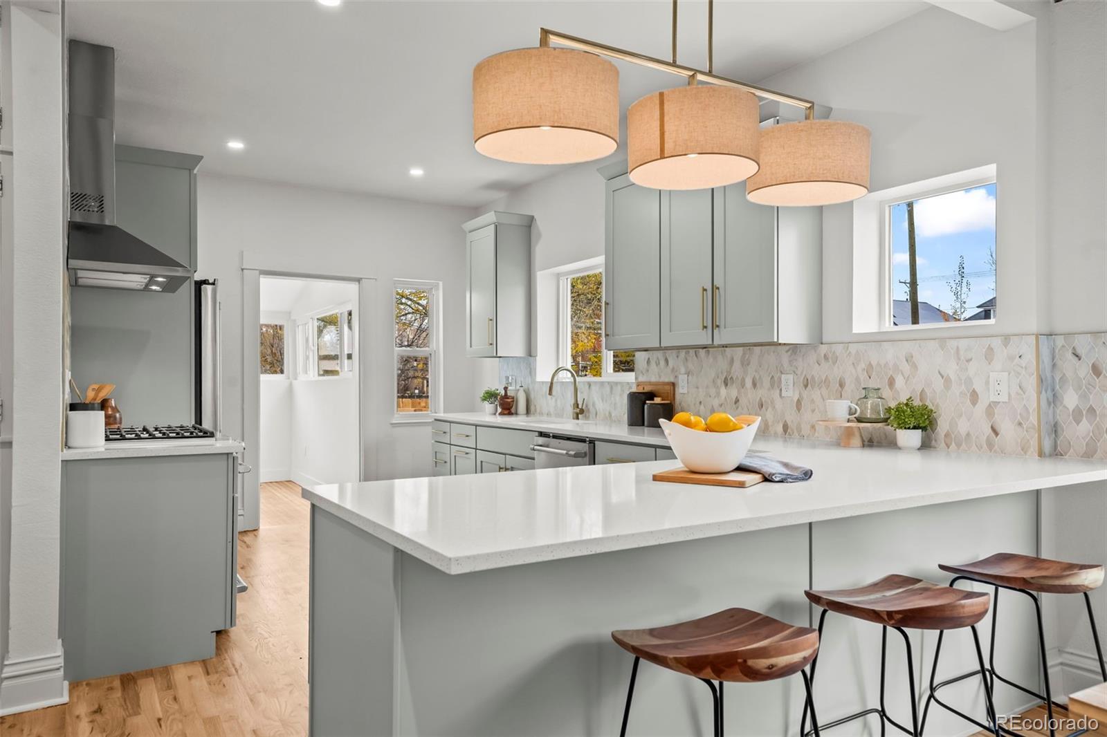 MLS Image #19 for 1731 e 25th avenue,denver, Colorado