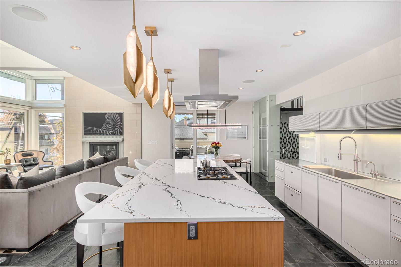 MLS Image #8 for 301  monroe street,denver, Colorado