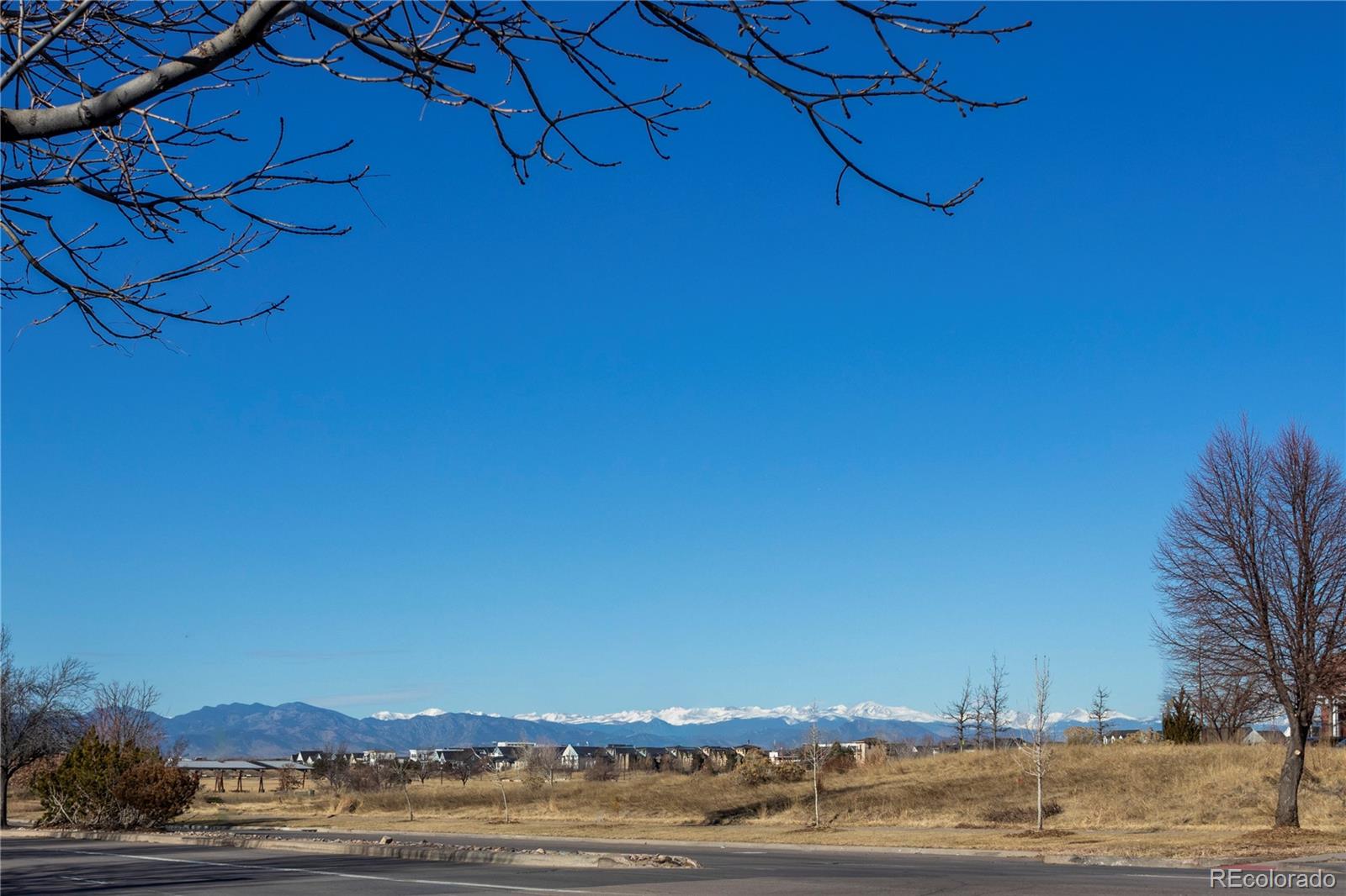 MLS Image #31 for 9824  martin luther king boulevard ,denver, Colorado