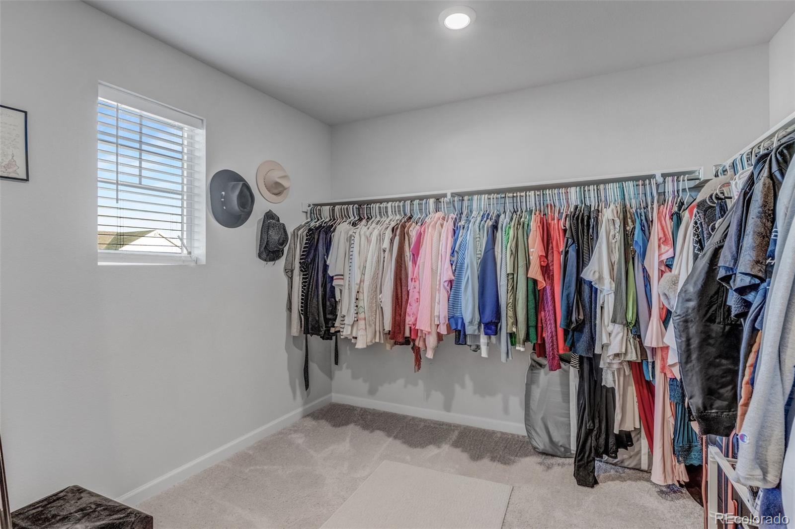 MLS Image #23 for 12432 e 101st place,commerce city, Colorado