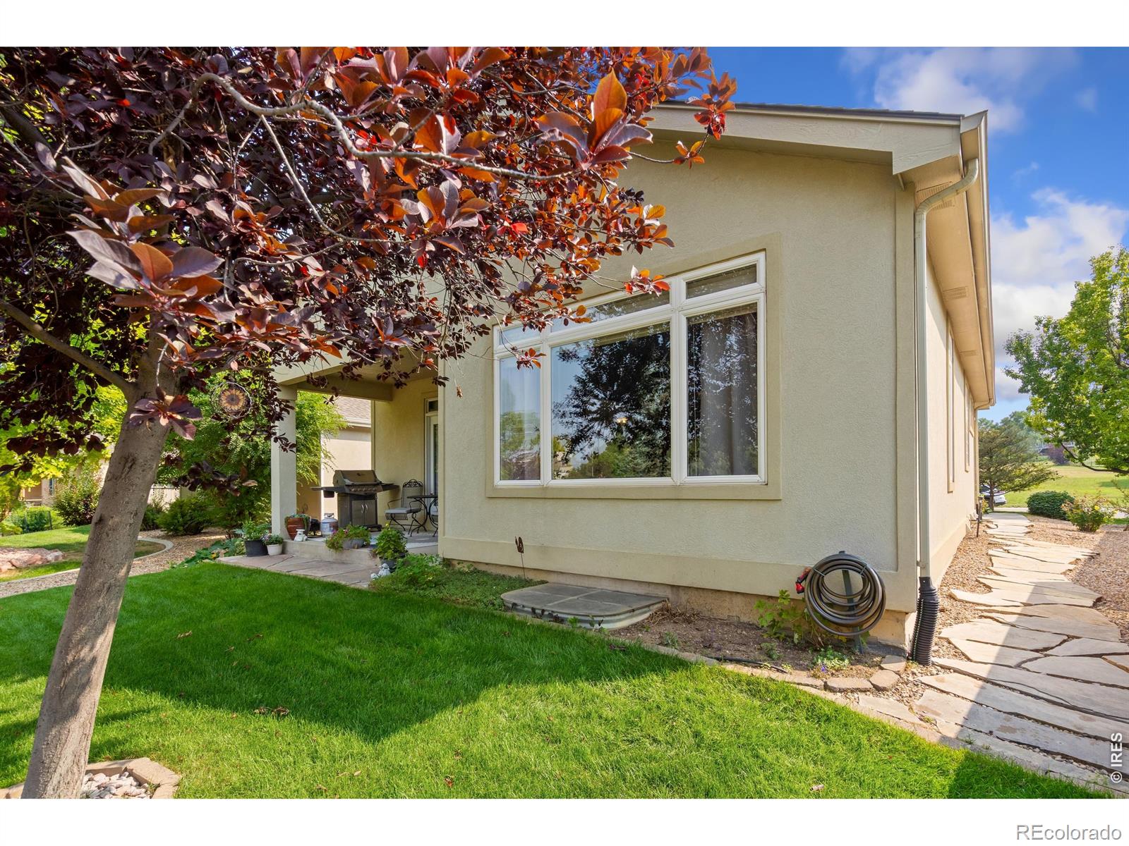 MLS Image #5 for 1960  hillside place,windsor, Colorado