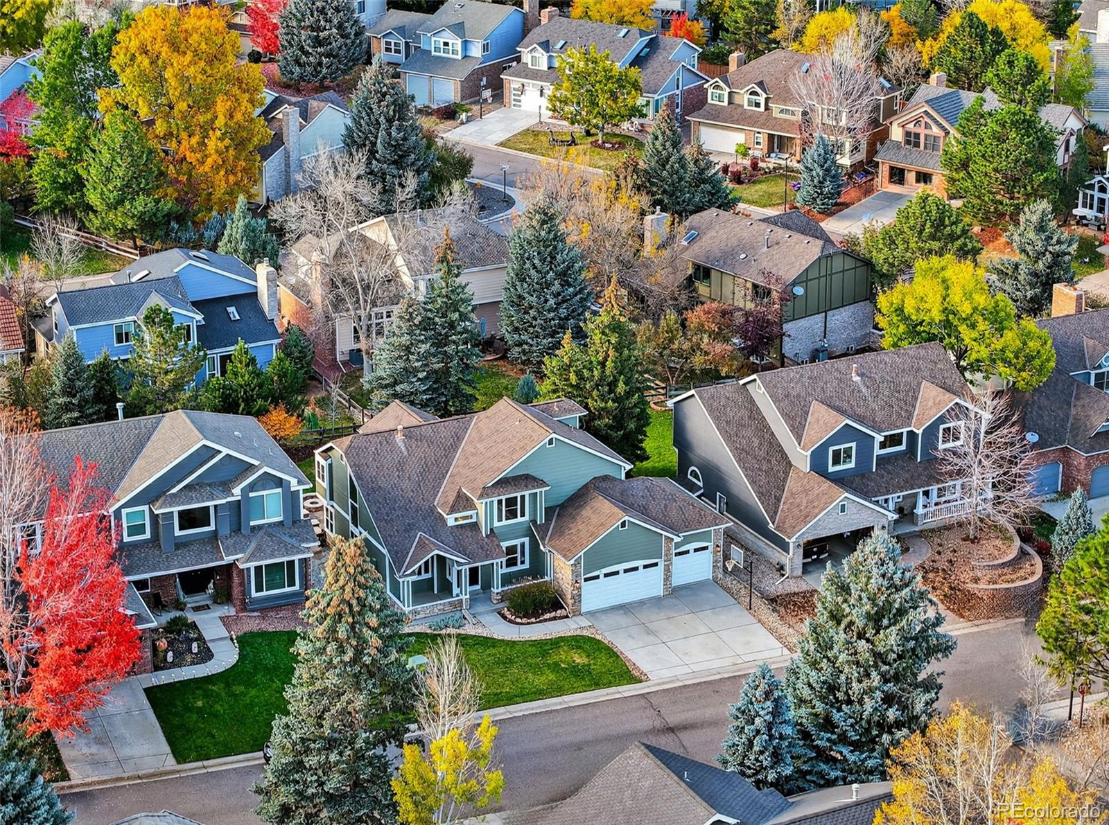 MLS Image #5 for 31  dawn heath circle,littleton, Colorado