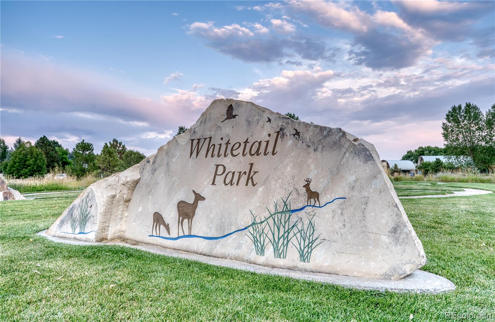 MLS Image #43 for 375  pika pt ,lafayette, Colorado