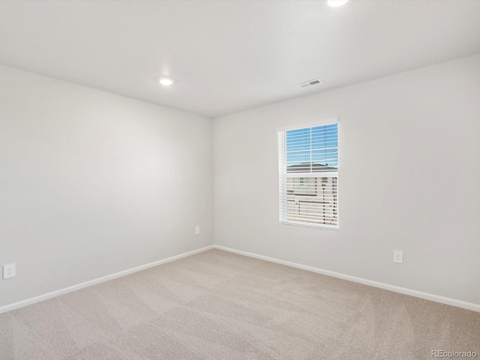 MLS Image #21 for 1636  yampa river drive,windsor, Colorado