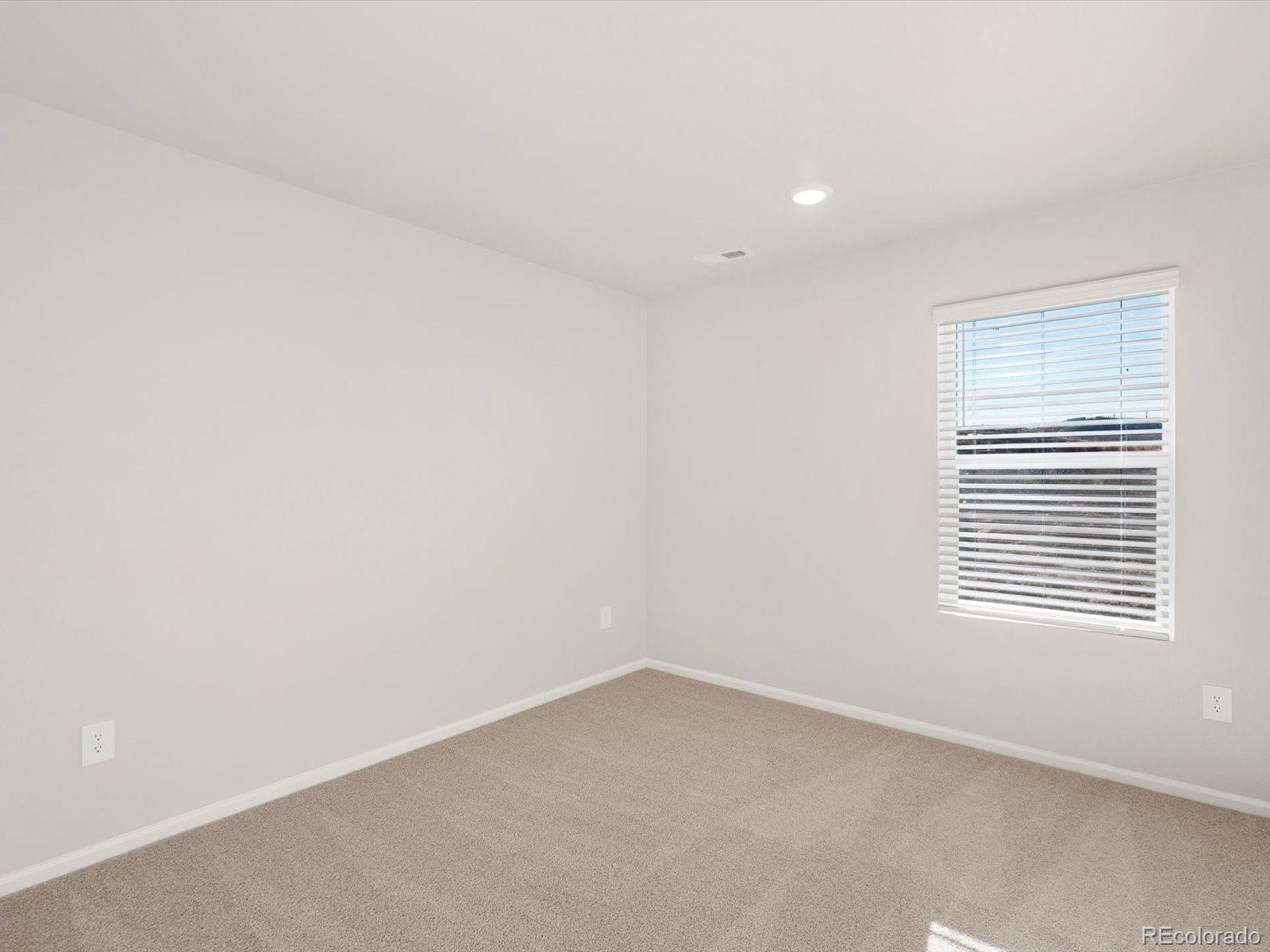 MLS Image #23 for 1636  yampa river drive,windsor, Colorado