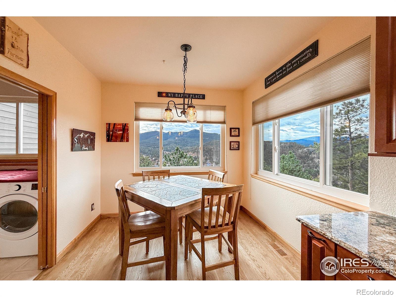 MLS Image #13 for 26436  sweetbriar trail,evergreen, Colorado