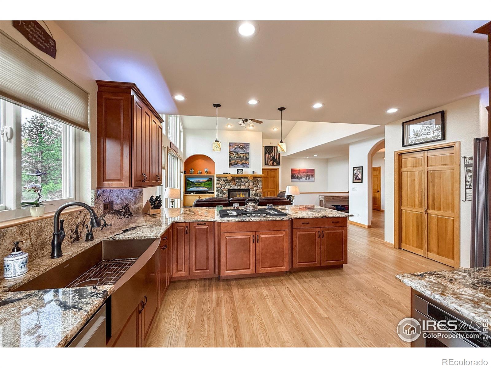 MLS Image #15 for 26436  sweetbriar trail,evergreen, Colorado