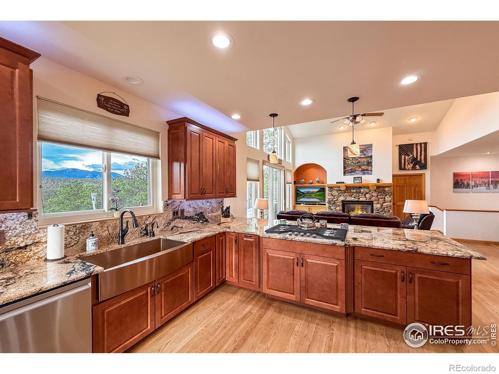 MLS Image #16 for 26436  sweetbriar trail,evergreen, Colorado
