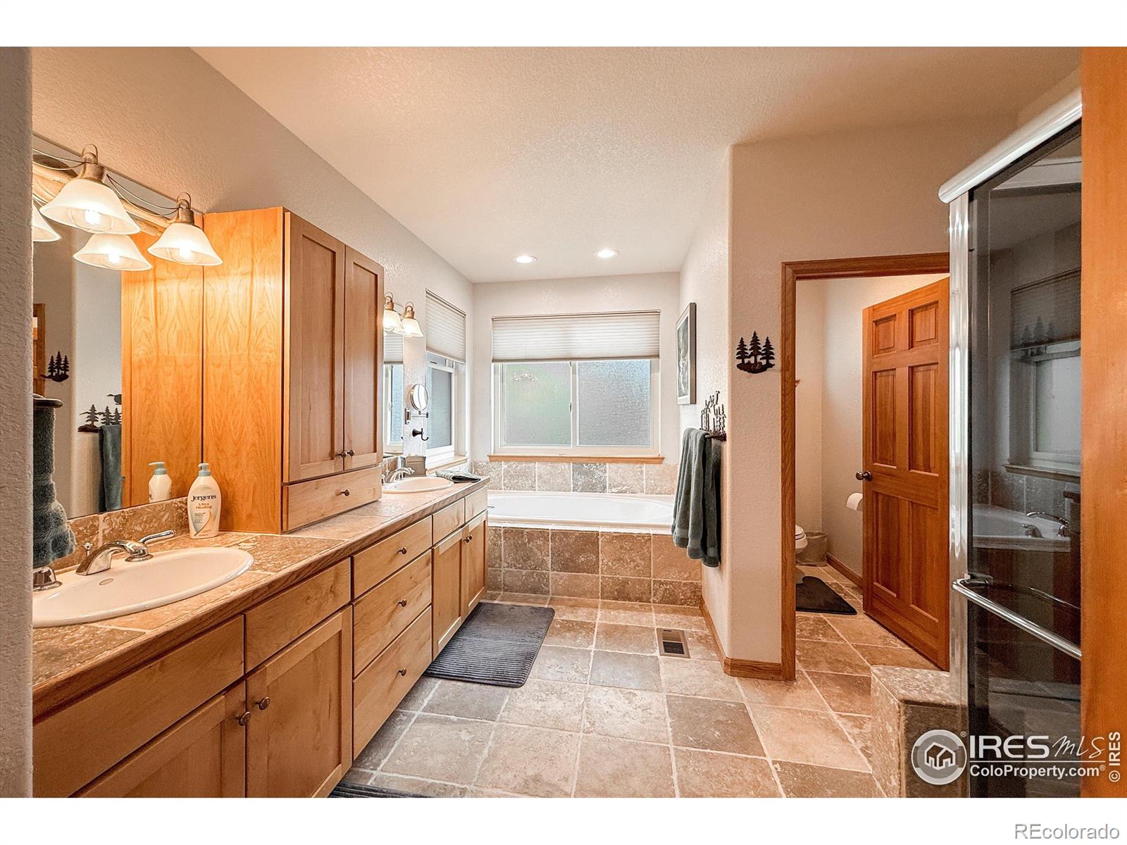 MLS Image #20 for 26436  sweetbriar trail,evergreen, Colorado