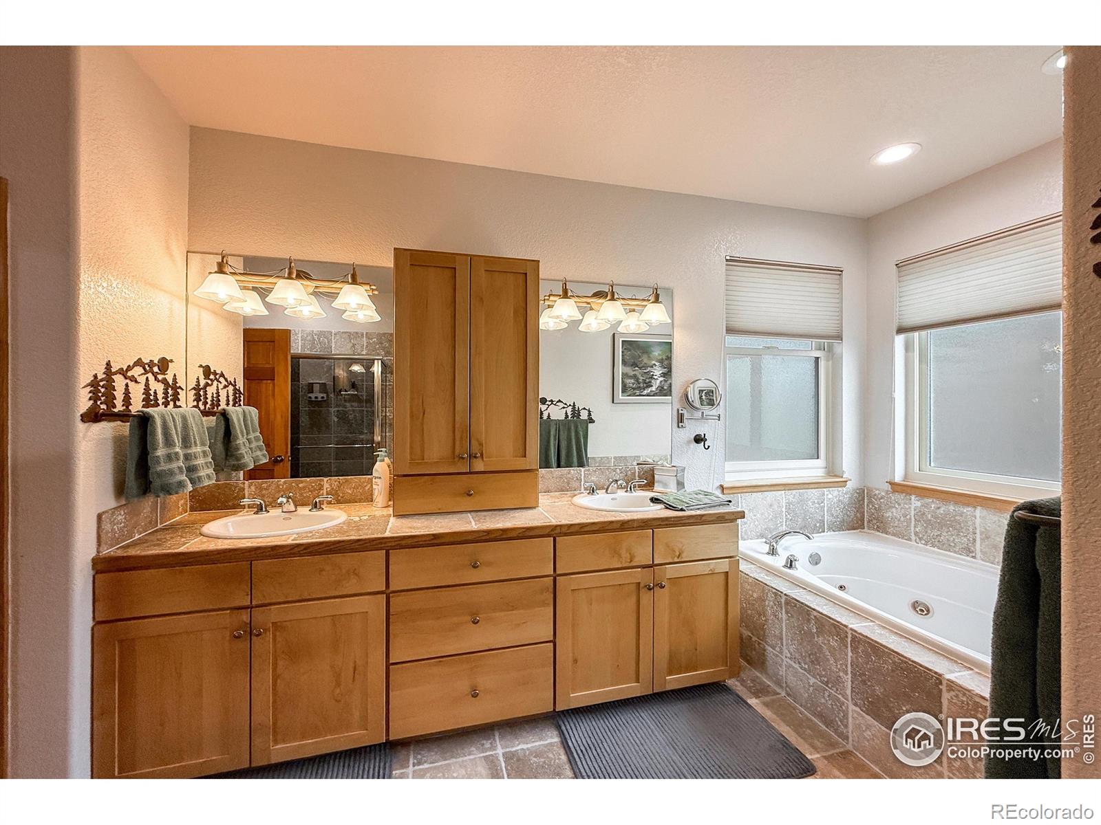 MLS Image #21 for 26436  sweetbriar trail,evergreen, Colorado