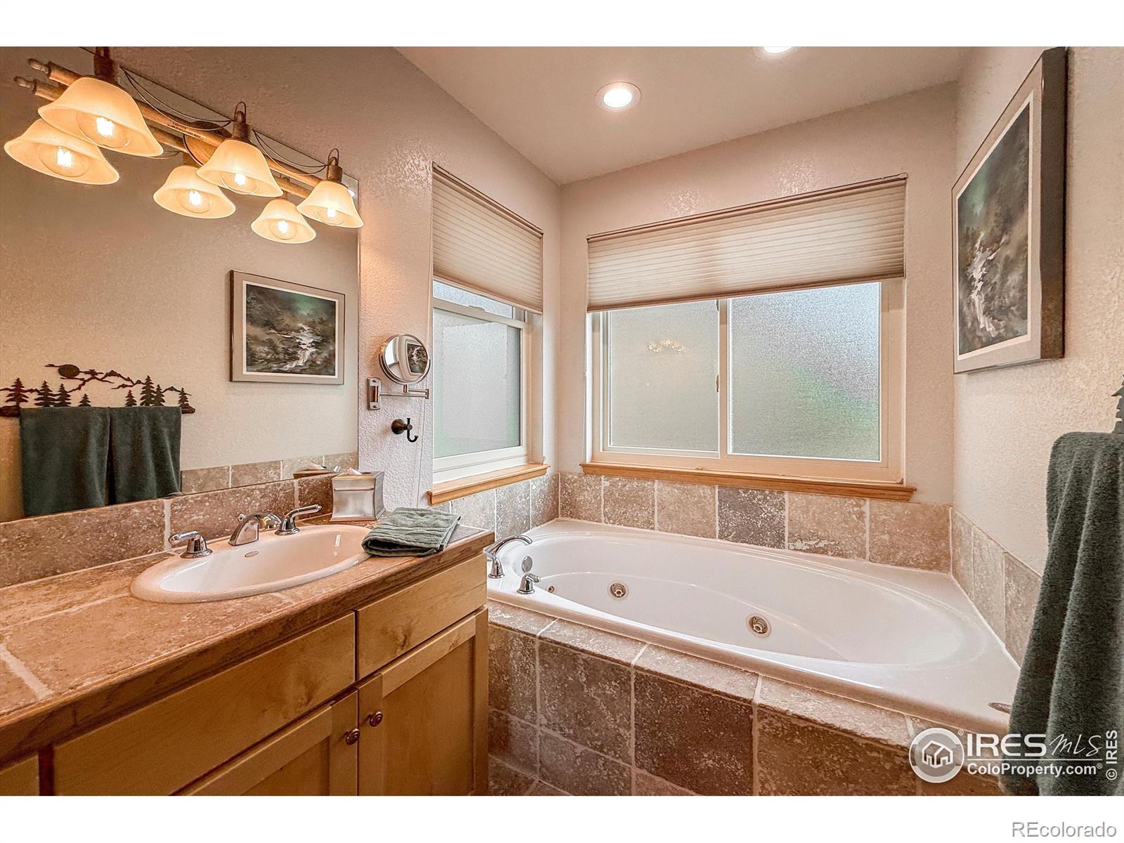 MLS Image #22 for 26436  sweetbriar trail,evergreen, Colorado