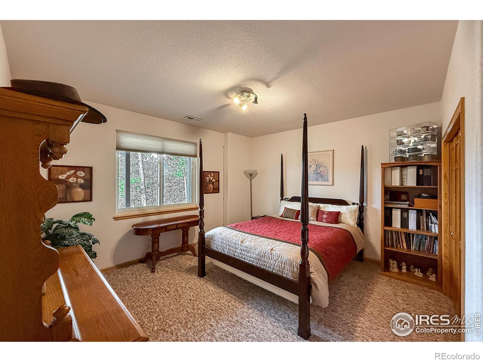 MLS Image #30 for 26436  sweetbriar trail,evergreen, Colorado
