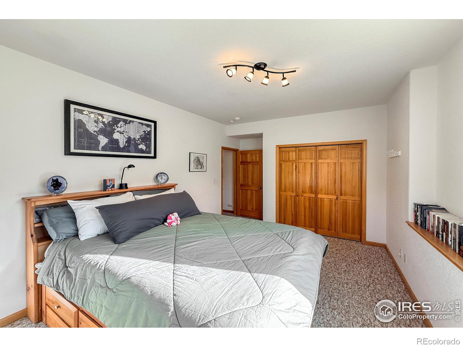 MLS Image #33 for 26436  sweetbriar trail,evergreen, Colorado