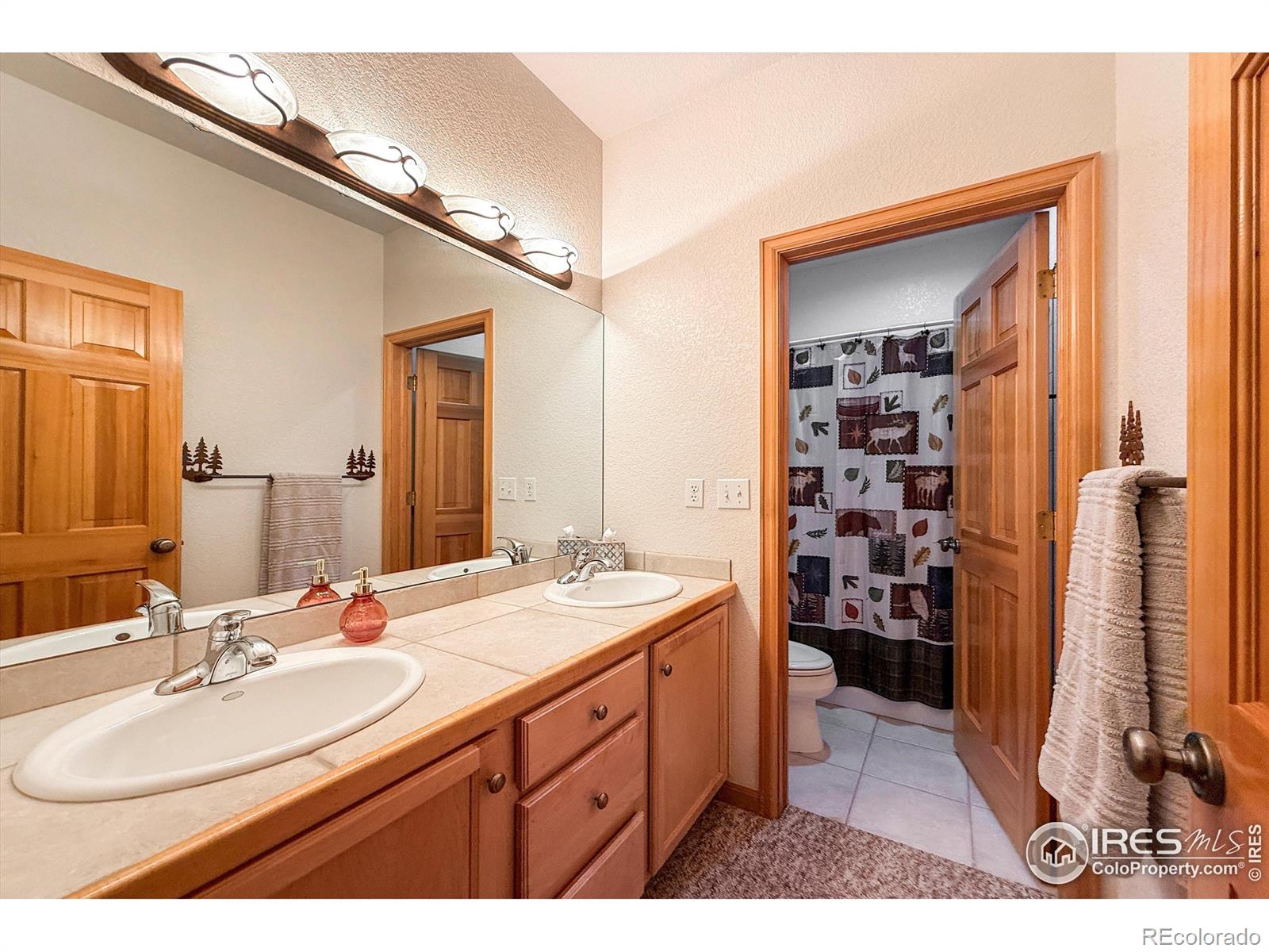 MLS Image #34 for 26436  sweetbriar trail,evergreen, Colorado