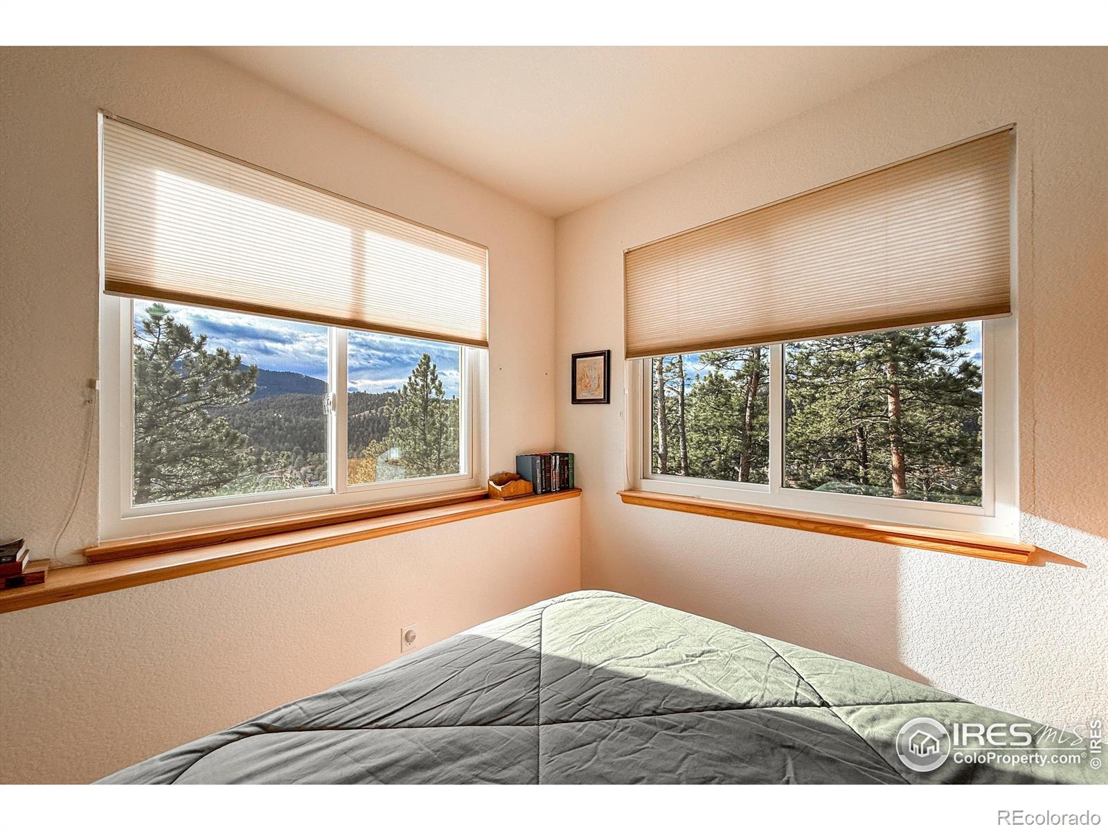 MLS Image #35 for 26436  sweetbriar trail,evergreen, Colorado