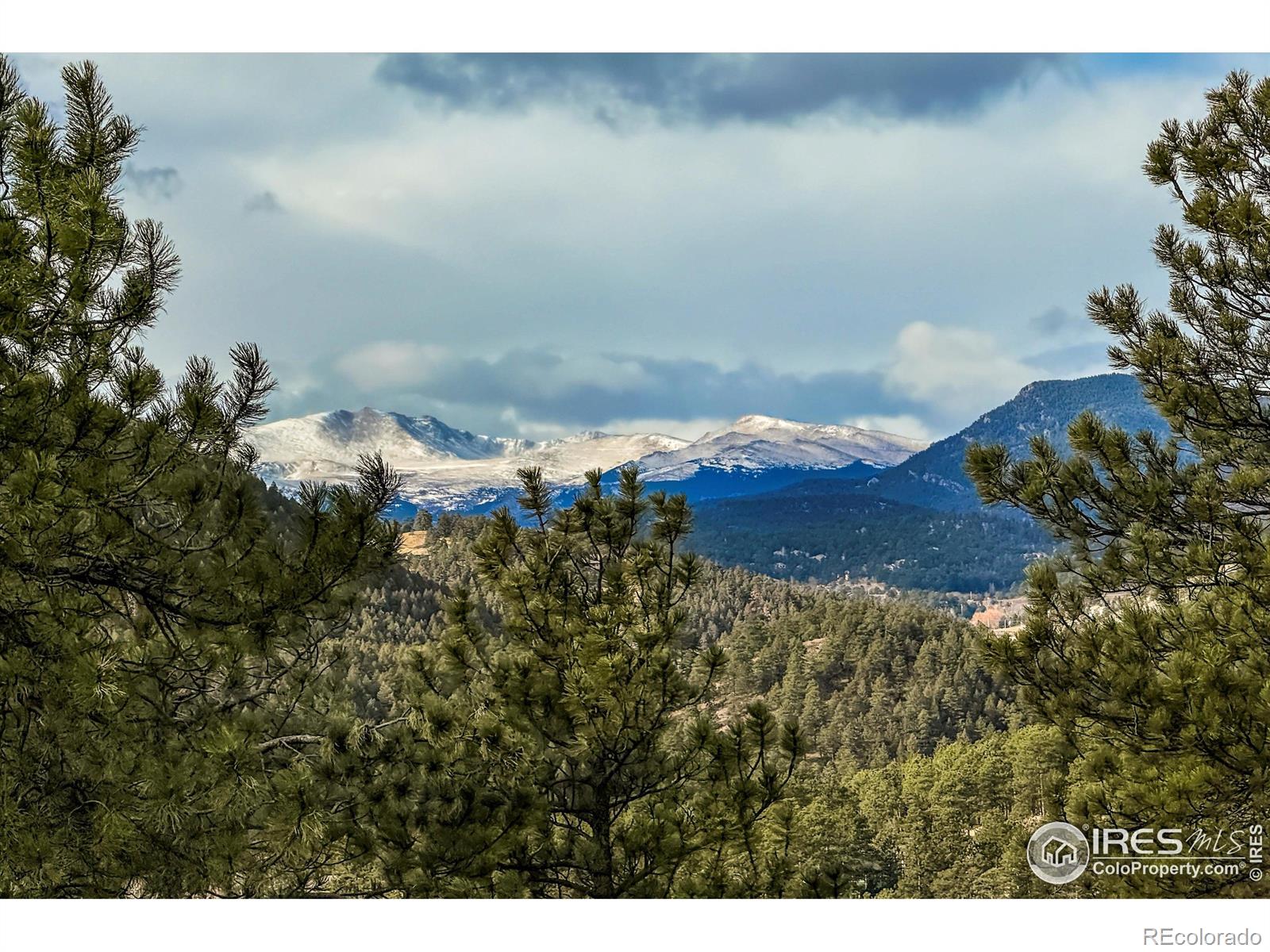 MLS Image #38 for 26436  sweetbriar trail,evergreen, Colorado