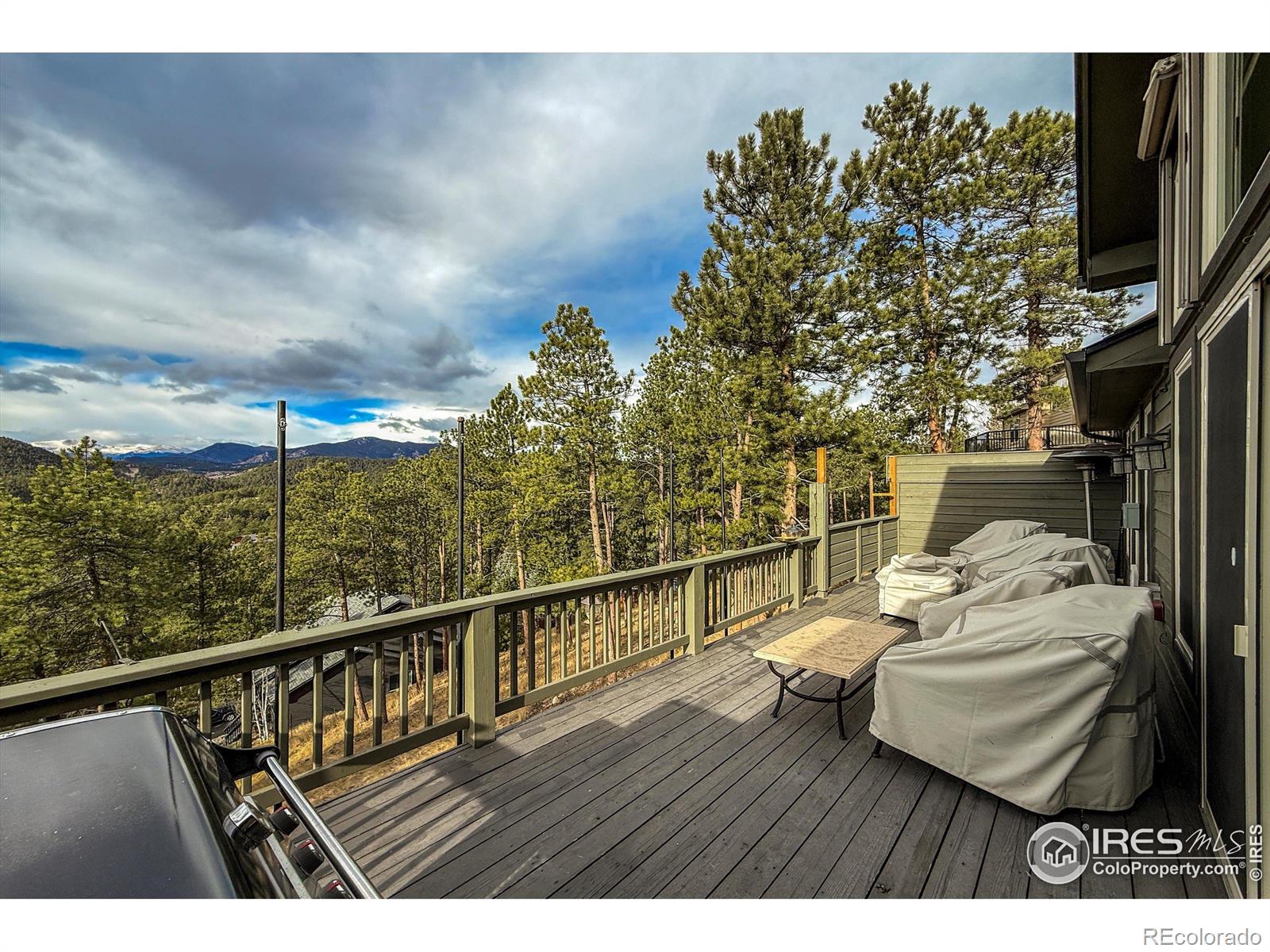 MLS Image #39 for 26436  sweetbriar trail,evergreen, Colorado