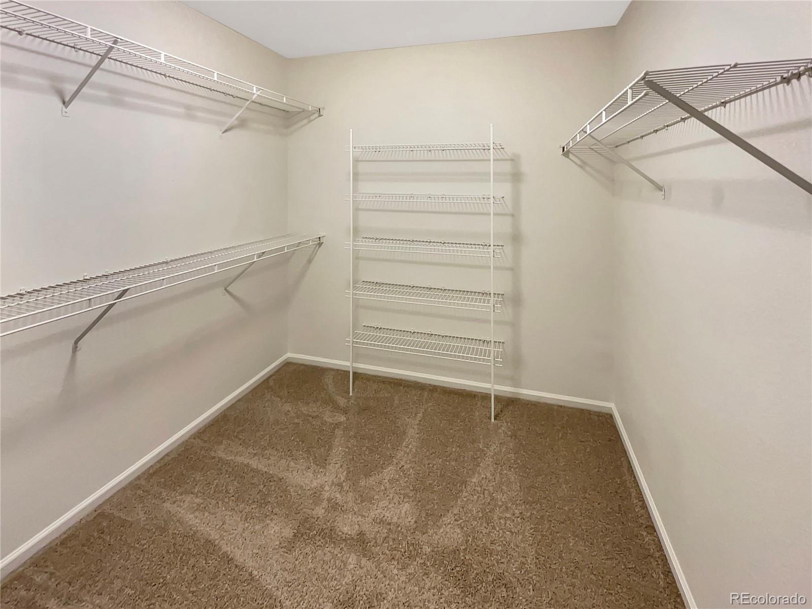 MLS Image #11 for 20540  parker vista road,parker, Colorado