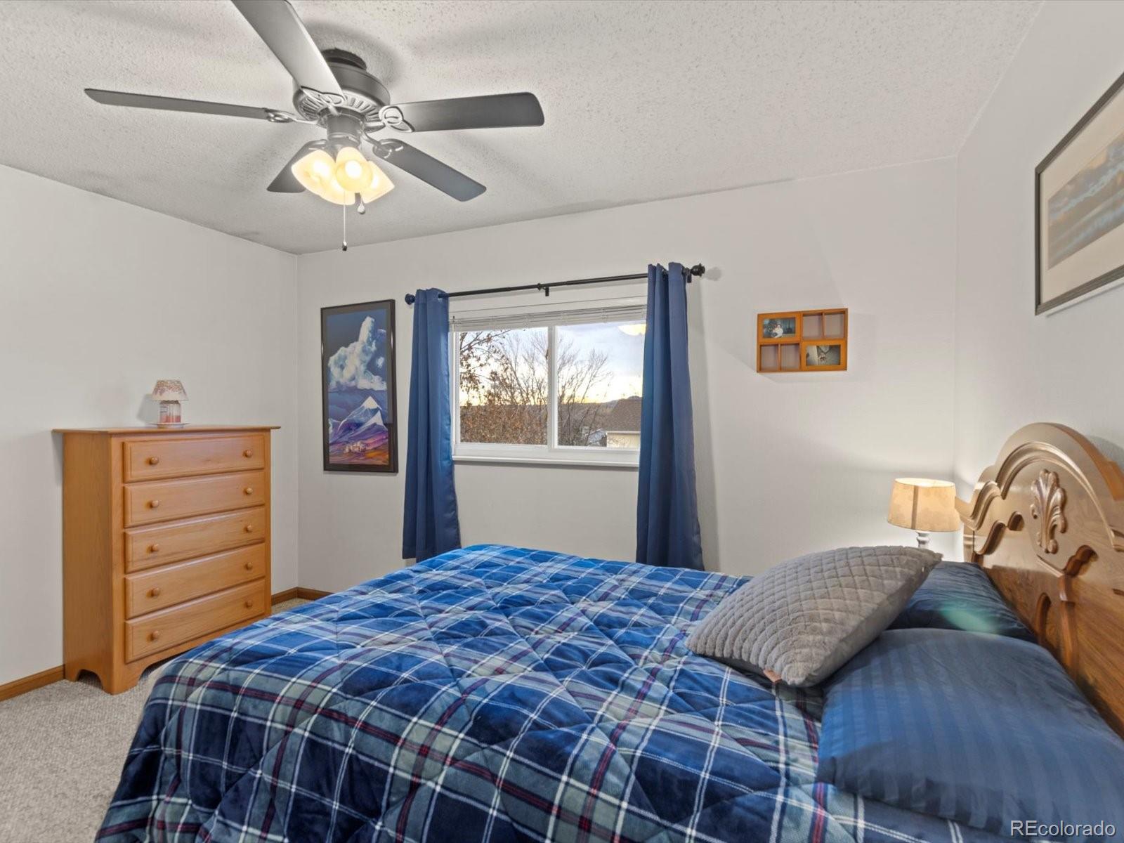 MLS Image #9 for 5160  wainwright drive,colorado springs, Colorado
