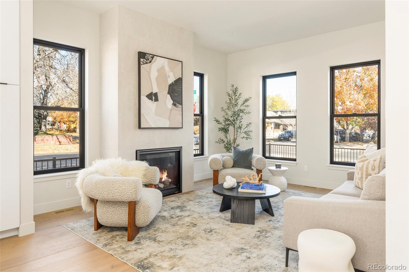 MLS Image #10 for 3291  zuni street,denver, Colorado