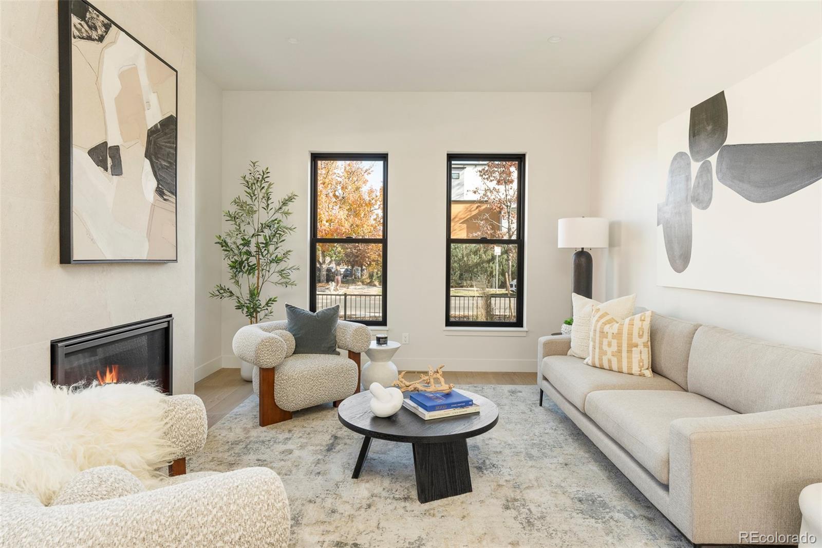 MLS Image #12 for 3291  zuni street,denver, Colorado
