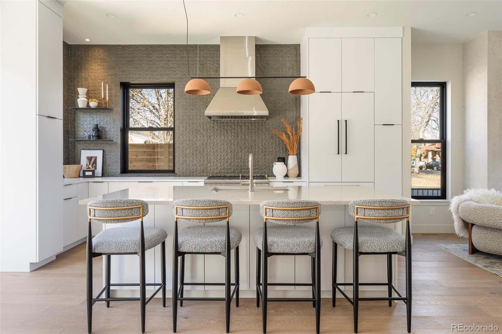 MLS Image #5 for 3291  zuni street,denver, Colorado