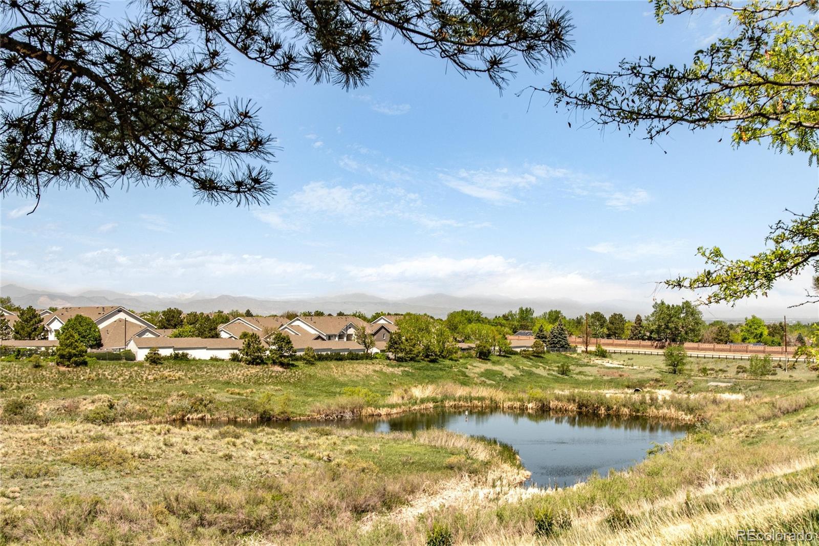 MLS Image #22 for 8405  pebble creek way 202,highlands ranch, Colorado