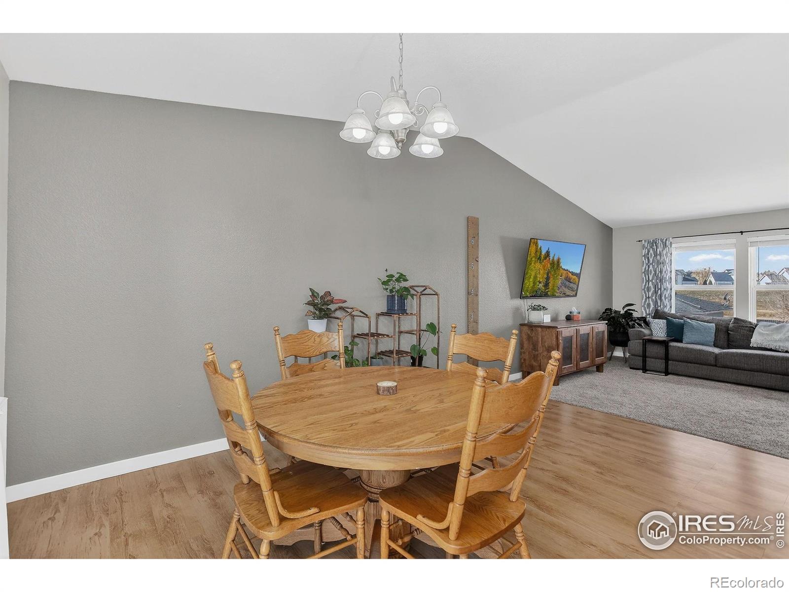 MLS Image #20 for 502  lakeview drive,severance, Colorado