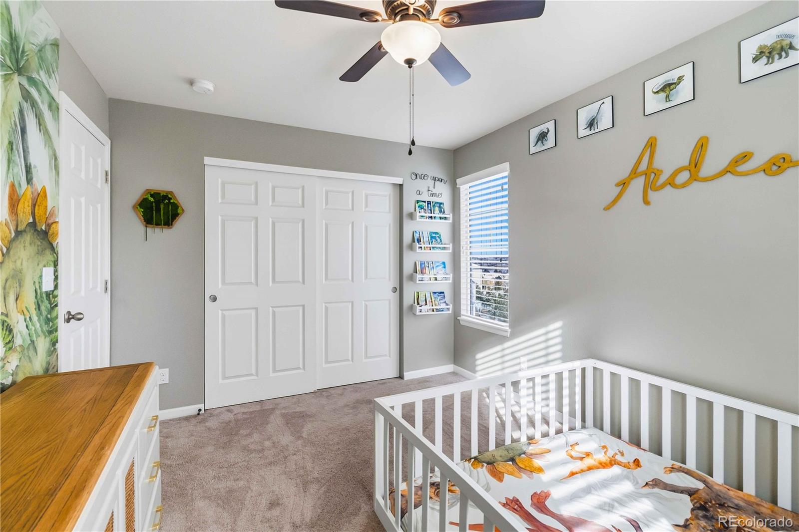 MLS Image #20 for 17933  coral burst street,parker, Colorado
