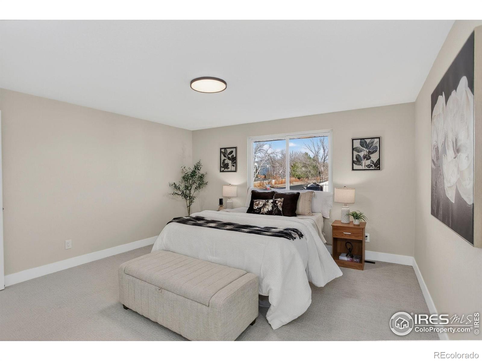 MLS Image #11 for 1085  kohl street,broomfield, Colorado