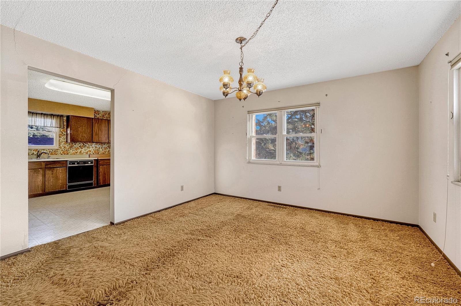 MLS Image #5 for 4660  bluestem lane,colorado springs, Colorado