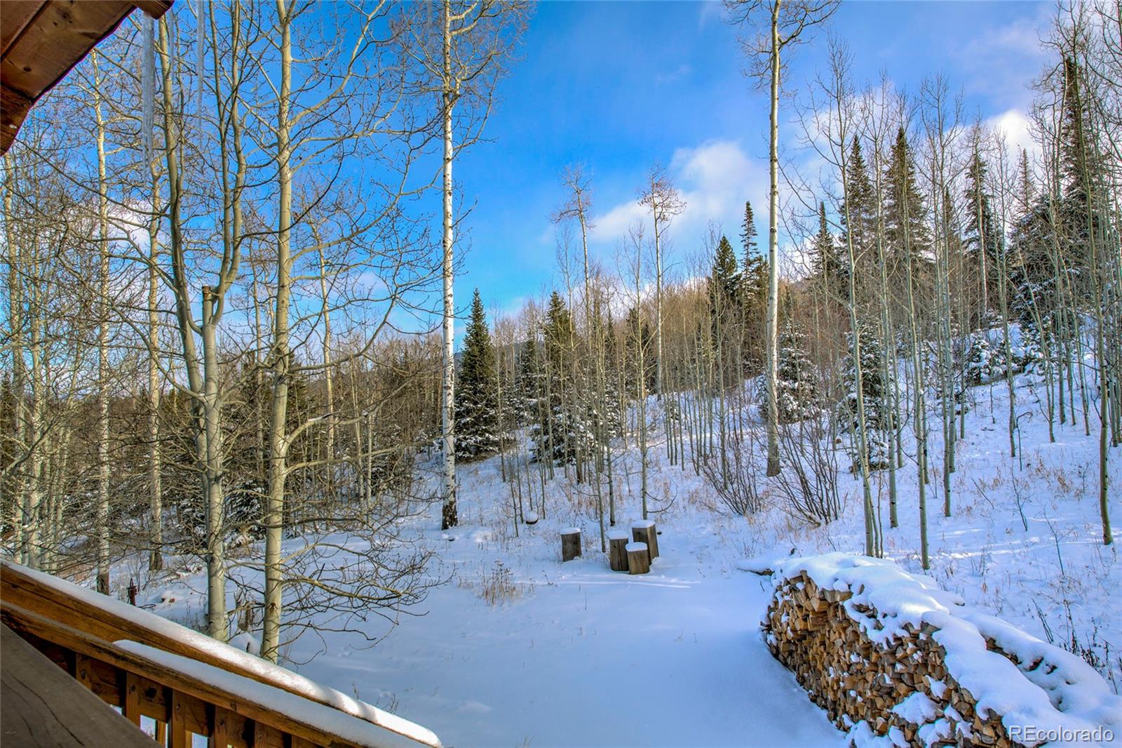 MLS Image #15 for 12  gcr 161 (old pass rd) ,kremmling, Colorado