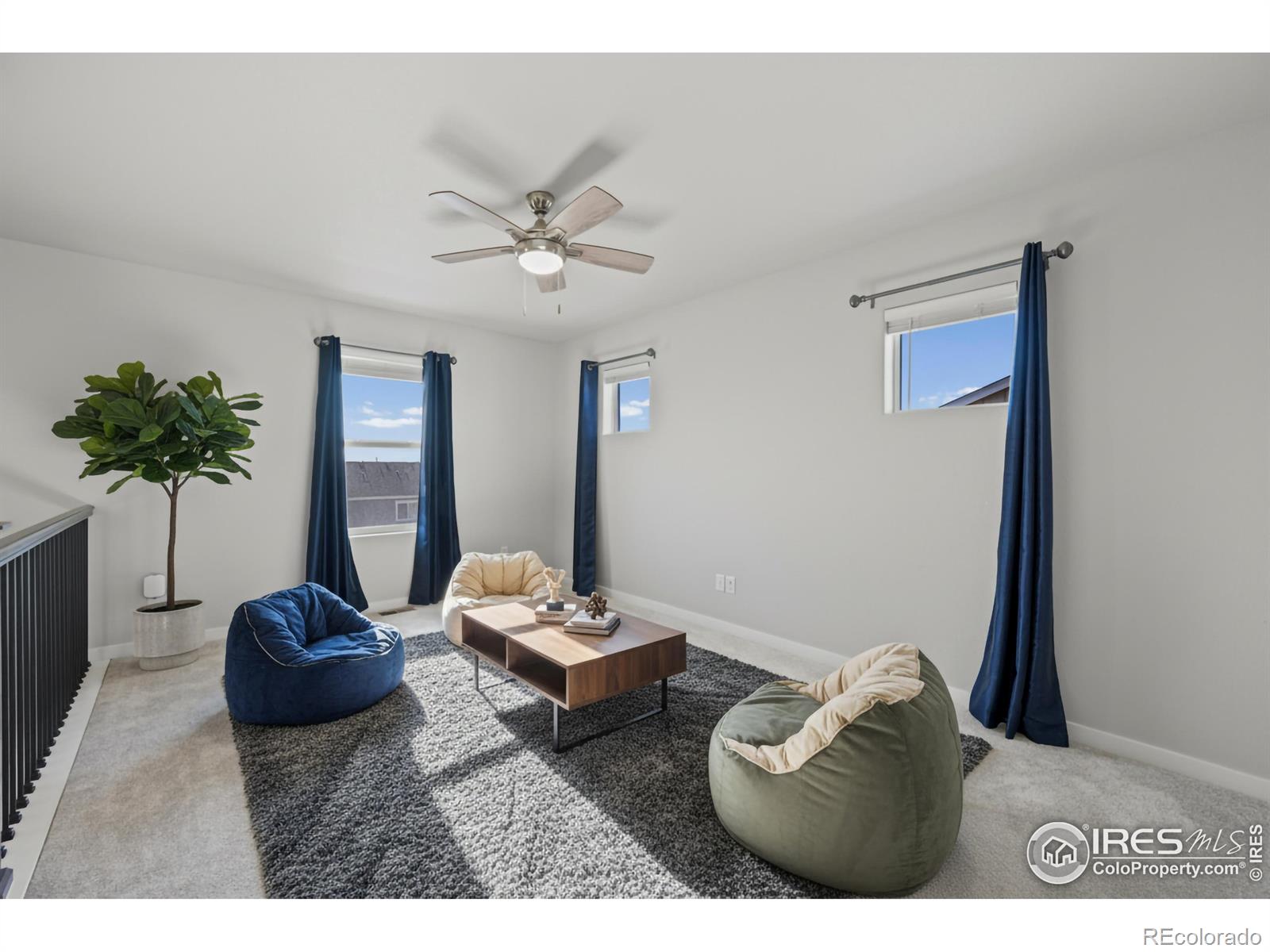 MLS Image #15 for 971  mouflon drive,severance, Colorado