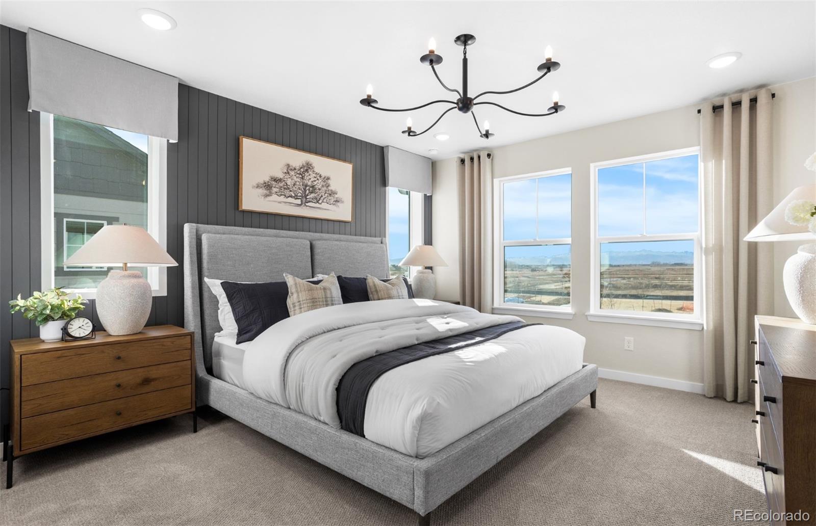 MLS Image #5 for 13174  barefoot lakes parkway,firestone, Colorado