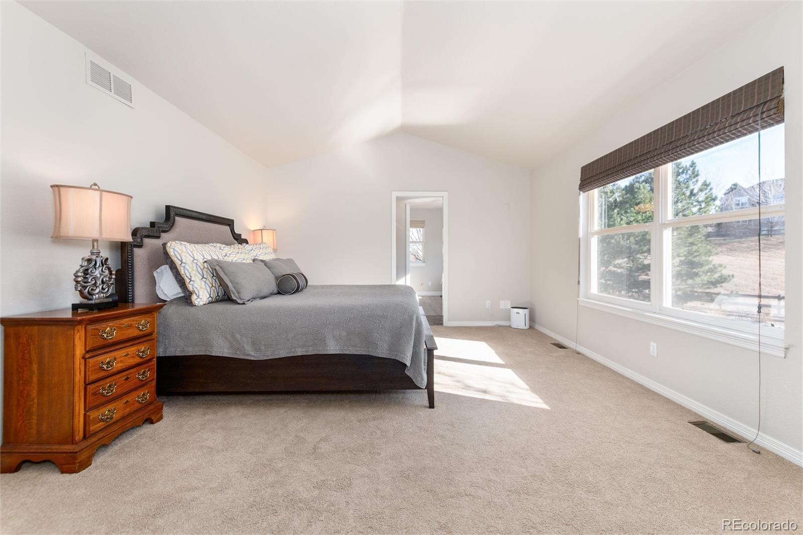 MLS Image #19 for 434  thorn apple way,castle pines, Colorado