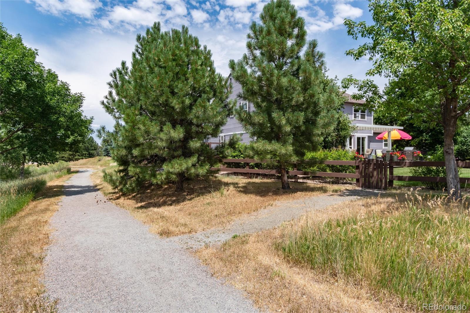 MLS Image #42 for 434  thorn apple way,castle pines, Colorado