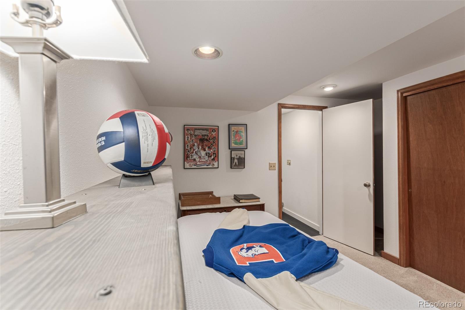 MLS Image #31 for 7953 s willow court,centennial, Colorado