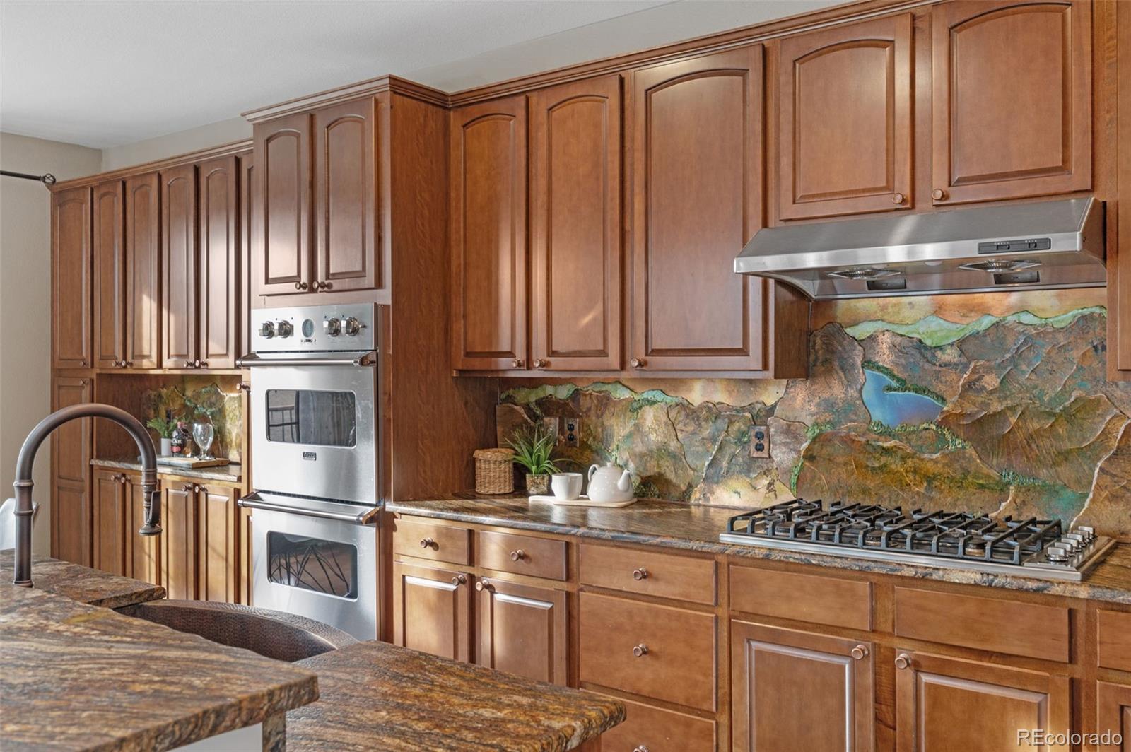 MLS Image #13 for 11561 s flower mound way,parker, Colorado