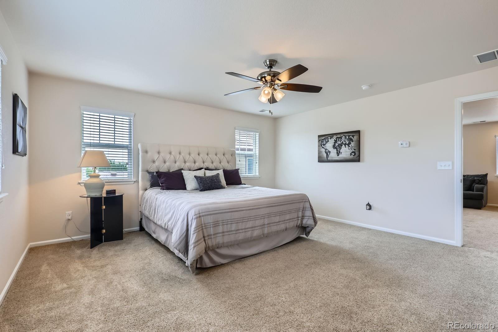 MLS Image #10 for 12578  hudson court,thornton, Colorado